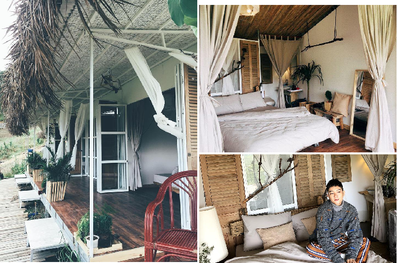 Homestay The Wilder-nest như "nấc thang lên thiên đường" ở Đà Lạt