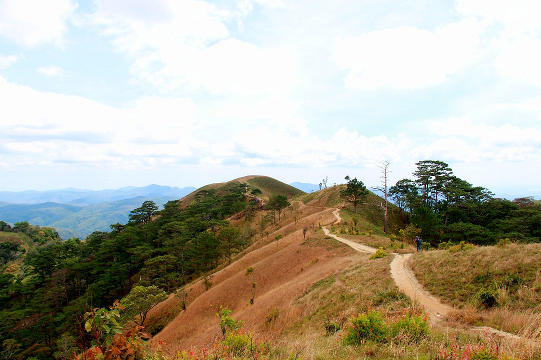 khám phá Sàn Homestay ở Tà Năng Phan Dũng