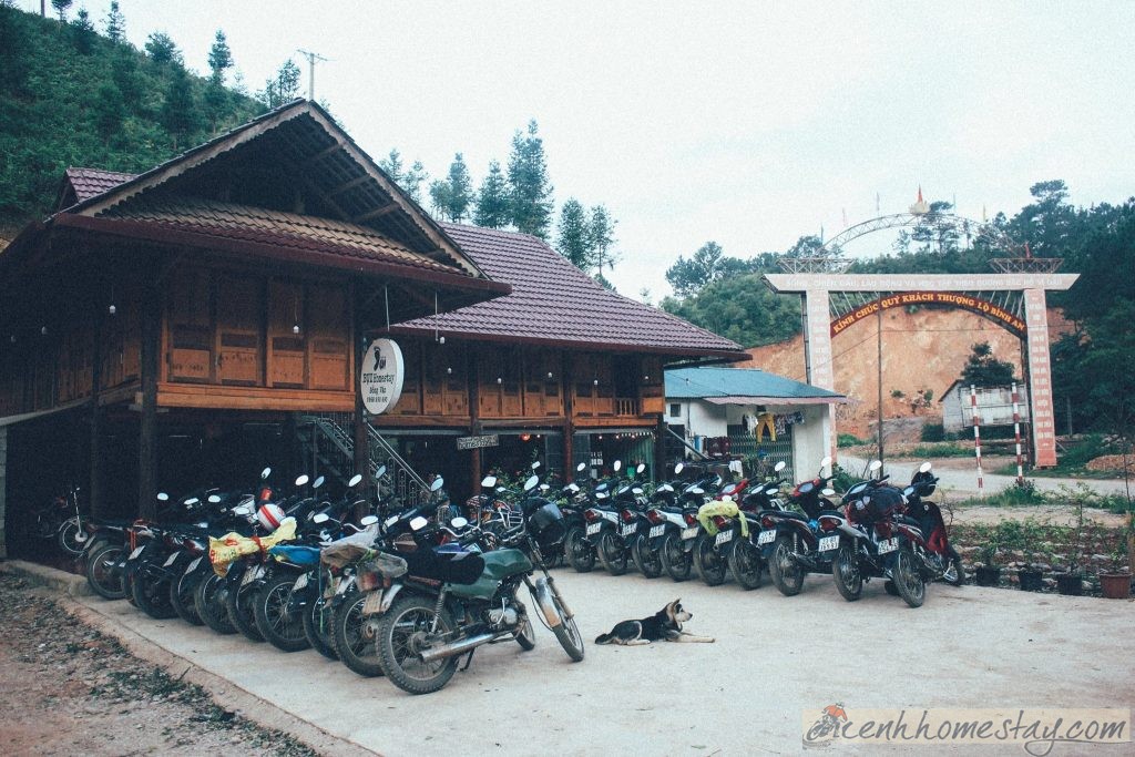 Bụi Homestay Đồng Văn Hà Giang