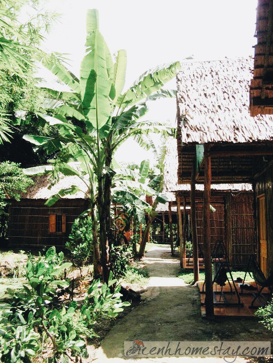 Homestay Green Village Cái Răng Cần Thơ