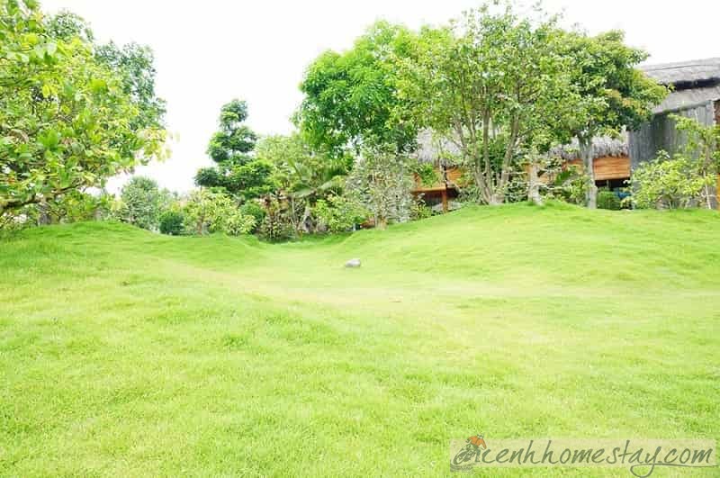 50+Homestay Cần Thơ giá rẻ - đẹp – gần trung tâm để khám phá vùng sông nước Mekong