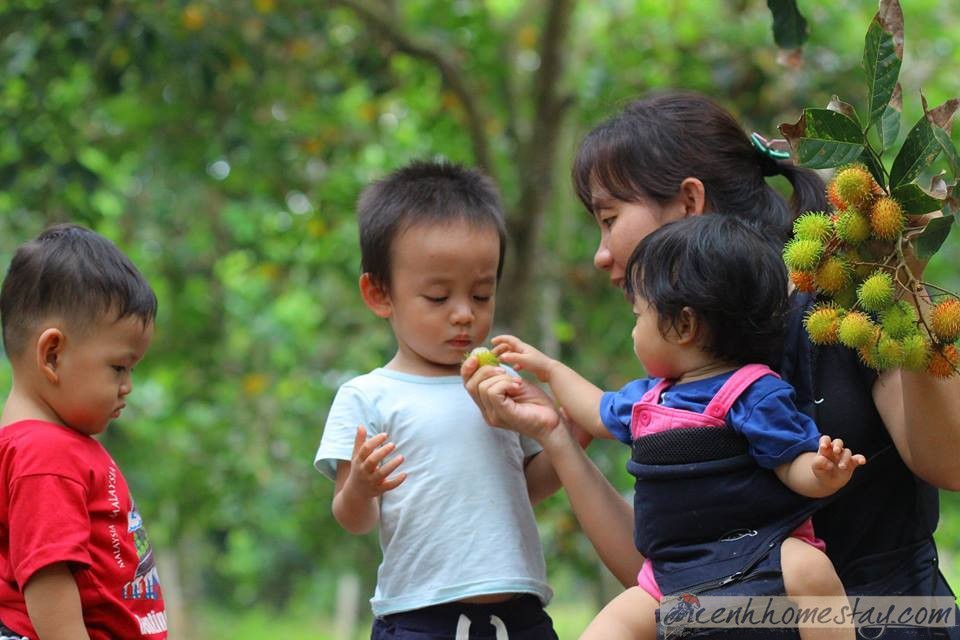 Happy Farm Tiền Giang