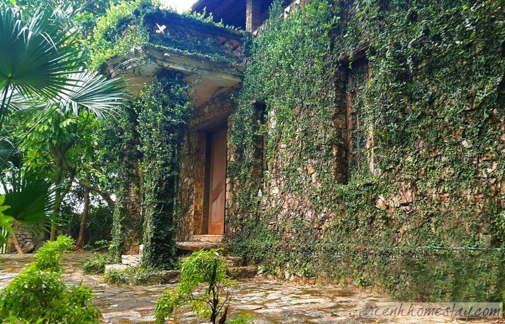 Homestay Jungle House Bắc Ninh