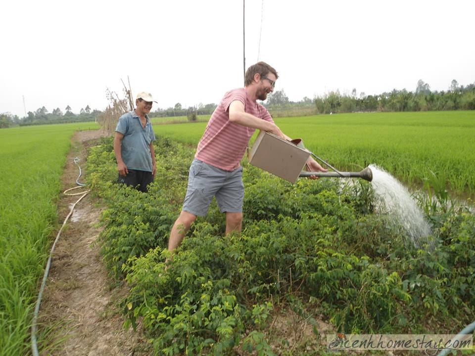 Homestay Green Village Cái Răng Cần Thơ