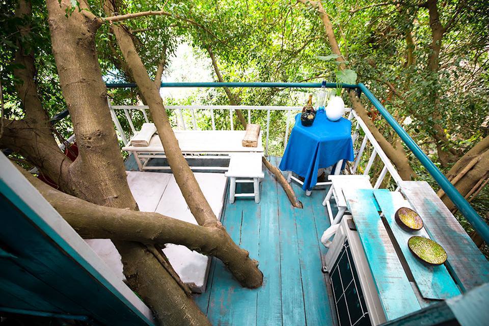 Nhà trên cây Cosy Tree House - Homestay đẹp, giá rẻ tại Hà Nội