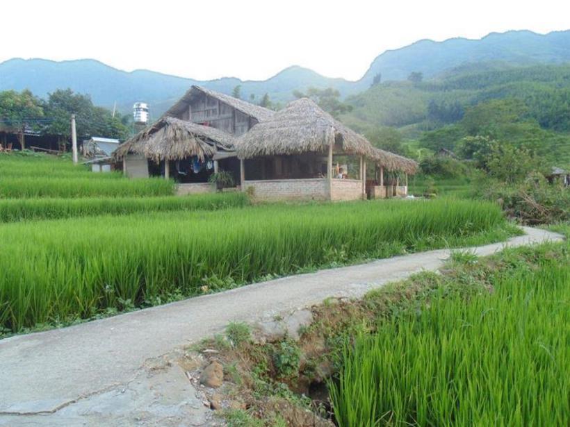 Top 10 homestay view ruộng lúa chín cực đẹp và lãng mạn ở Sapa