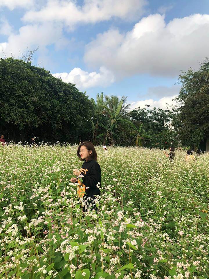 Trường Thành Farm -“khu vườn cổ tích” mới toanh ở đất cảng Hải Phòng