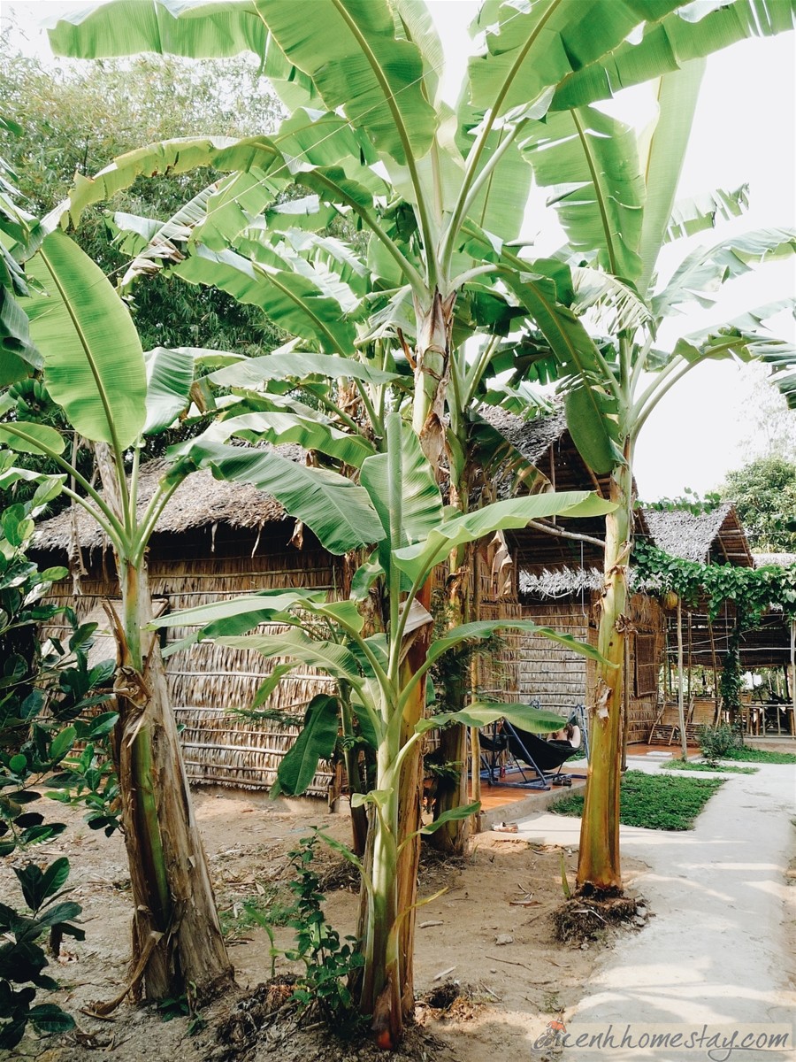 Homestay Green Village Cái Răng Cần Thơ