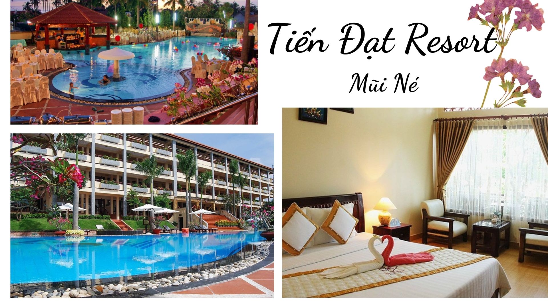 Top 61 Resort Mũi Né Phan Thiết giá rẻ view đẹp gần biển từ 3-4-5 sao