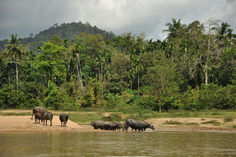 Địa điểm du lịch Malaysia