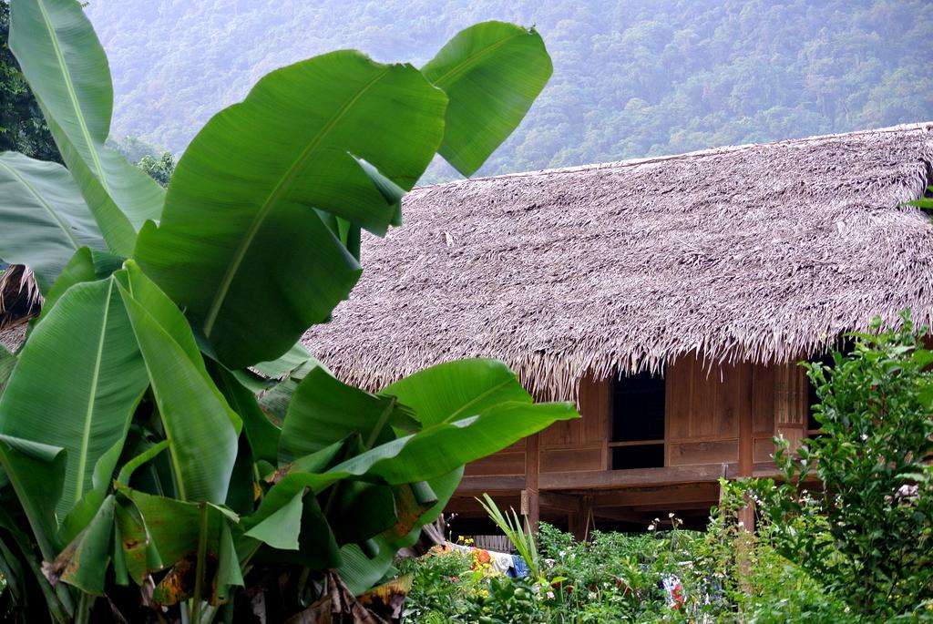 Bản Hiêu Garden Lodge Thanh Hóa