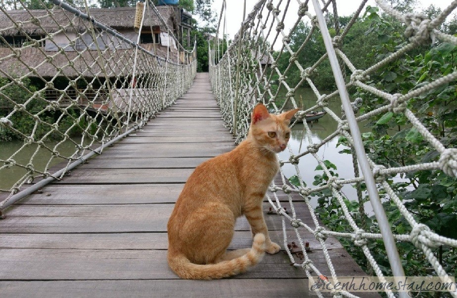 Homestay Nguyen Shack Cần Thơ, Đồng Bằng Sông Cửu Long