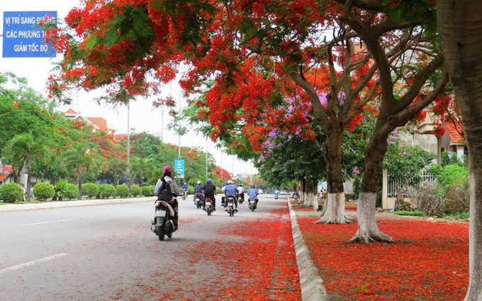 Lên lịch sẵn cho kế hoạch ''săn hoa'' khắp 12 tháng trong năm