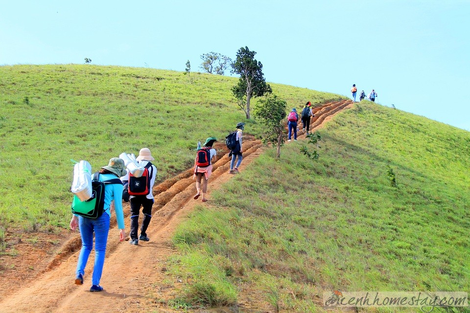 30 Trải nghiệm khó quên trên cung trekking Tà Năng Phan Dũng