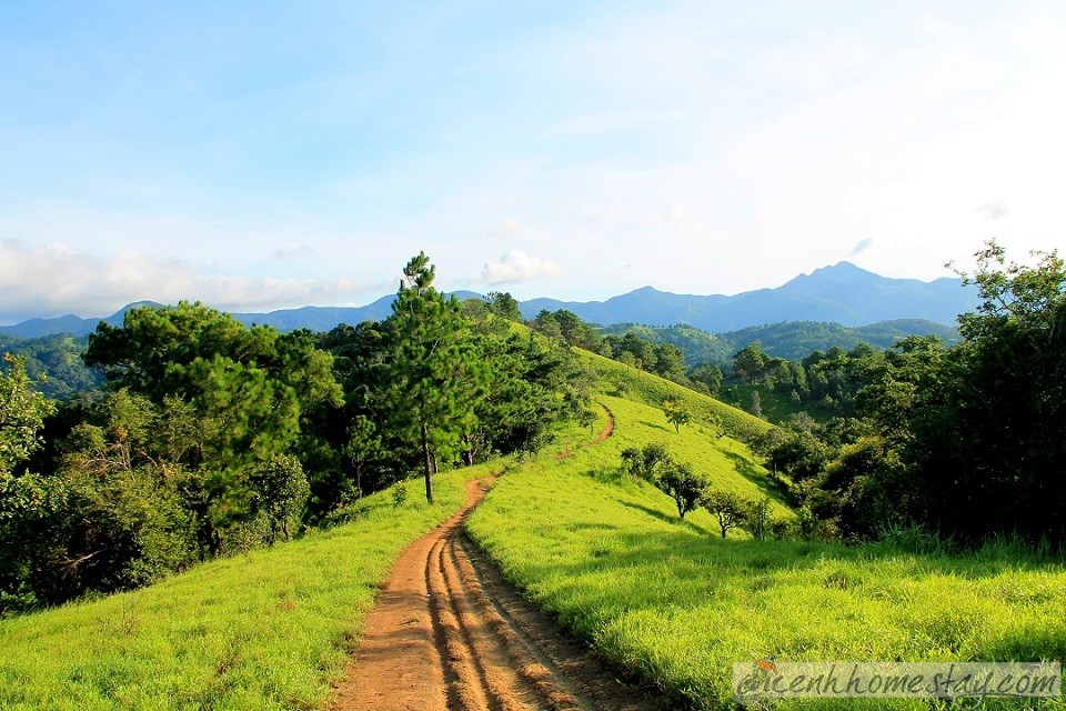 30 Trải nghiệm khó quên trên cung trekking Tà Năng Phan Dũng