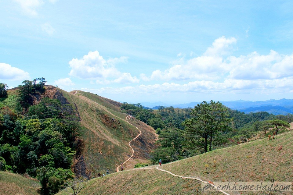 30 Trải nghiệm khó quên trên cung trekking Tà Năng Phan Dũng