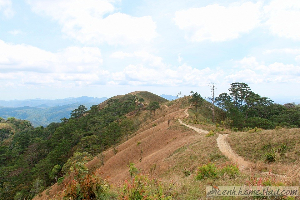 30 Trải nghiệm khó quên trên cung trekking Tà Năng Phan Dũng