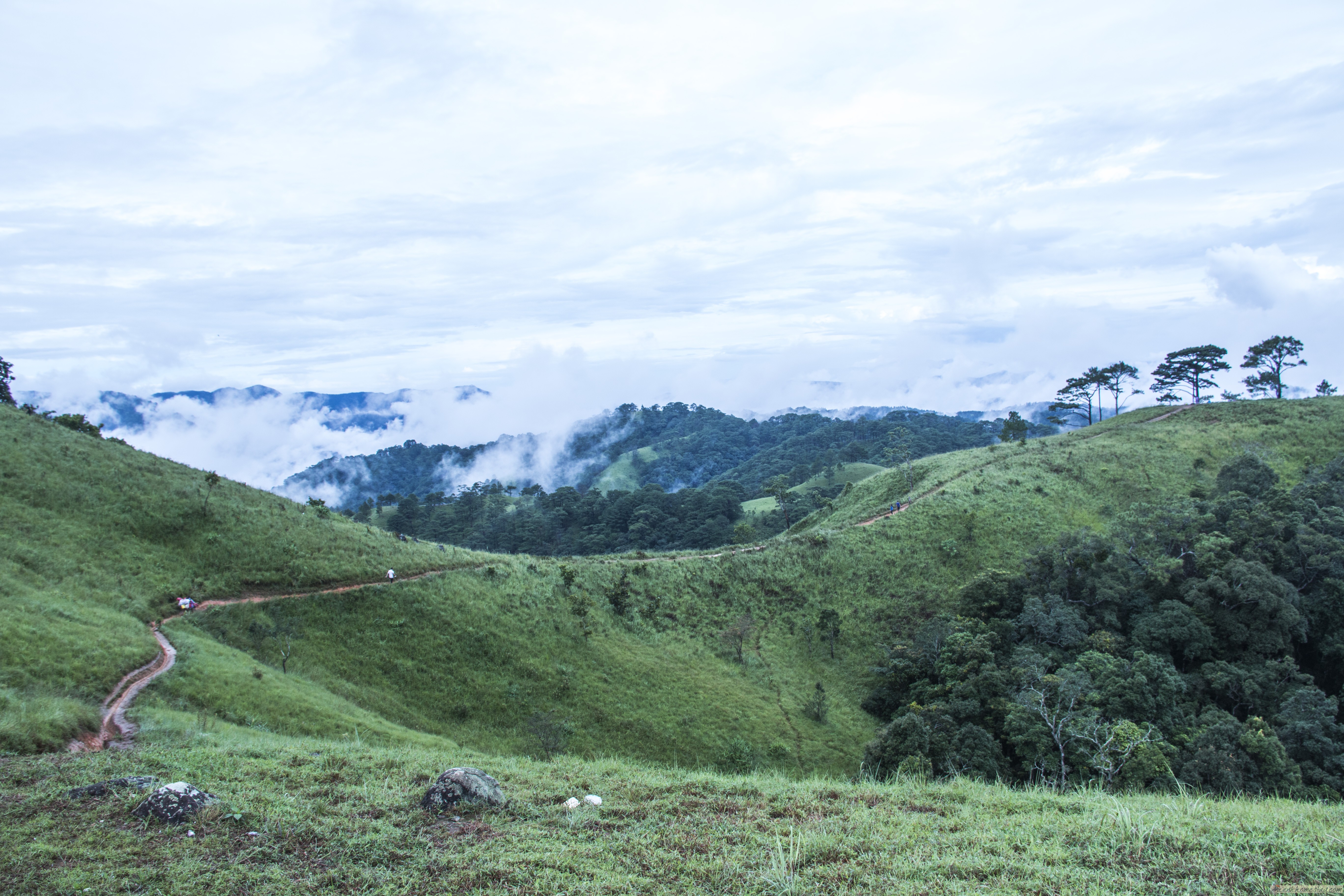 30 Trải nghiệm khó quên trên cung trekking Tà Năng Phan Dũng