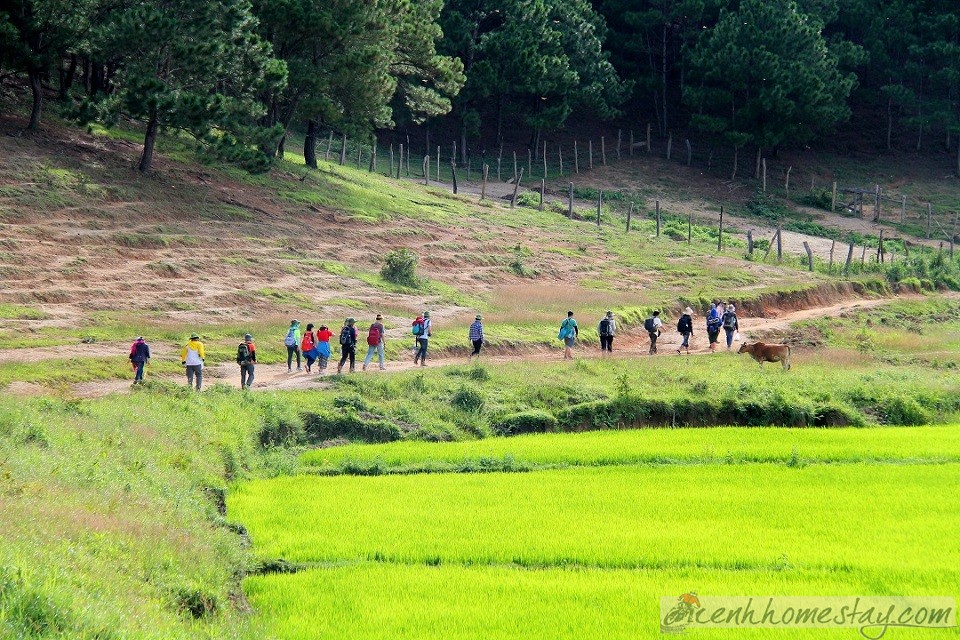 30 Trải nghiệm khó quên trên cung trekking Tà Năng Phan Dũng