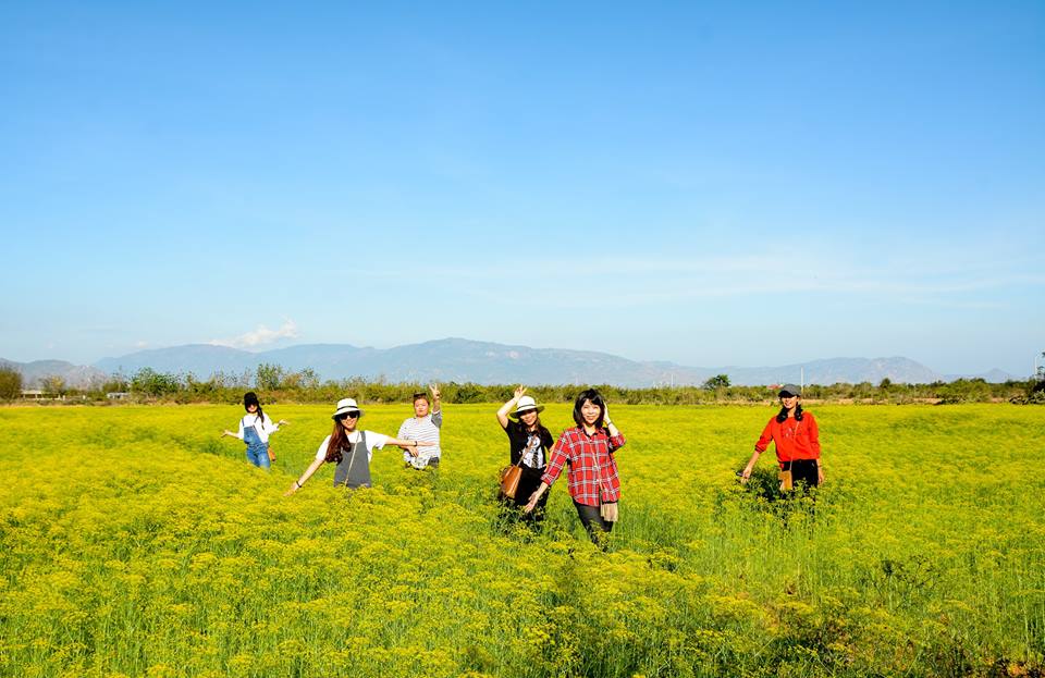 53 điểm du lịch Ninh Thuận, Phan Rang nổi tiếng nhất định phải đi một lần