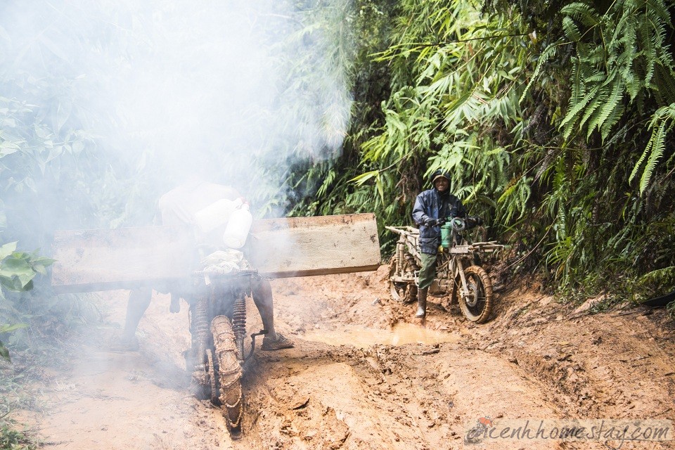 30 Trải nghiệm khó quên trên cung trekking Tà Năng Phan Dũng