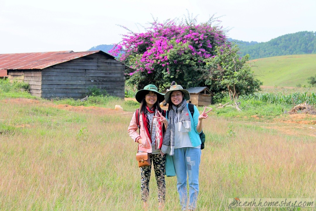 30 Trải nghiệm khó quên trên cung trekking Tà Năng Phan Dũng