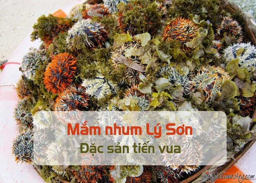 Top 15 đặc sản Lý Sơn làm quà ngon đáng để mua về khi du lịch đảo