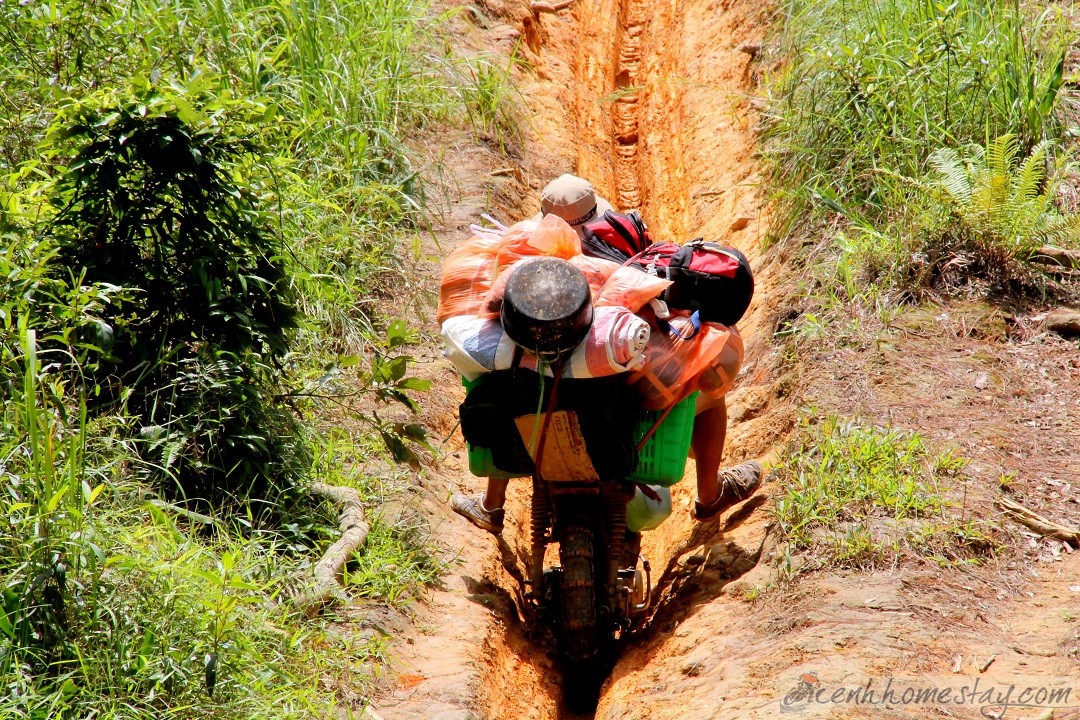 30 Trải nghiệm khó quên trên cung trekking Tà Năng Phan Dũng