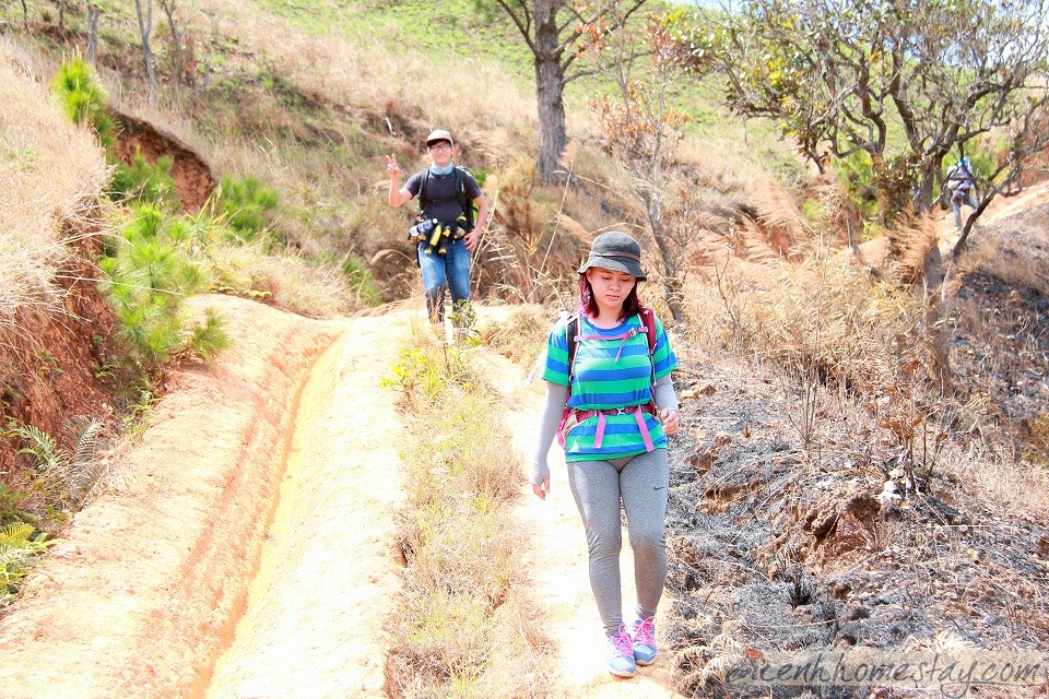 30 Trải nghiệm khó quên trên cung trekking Tà Năng Phan Dũng