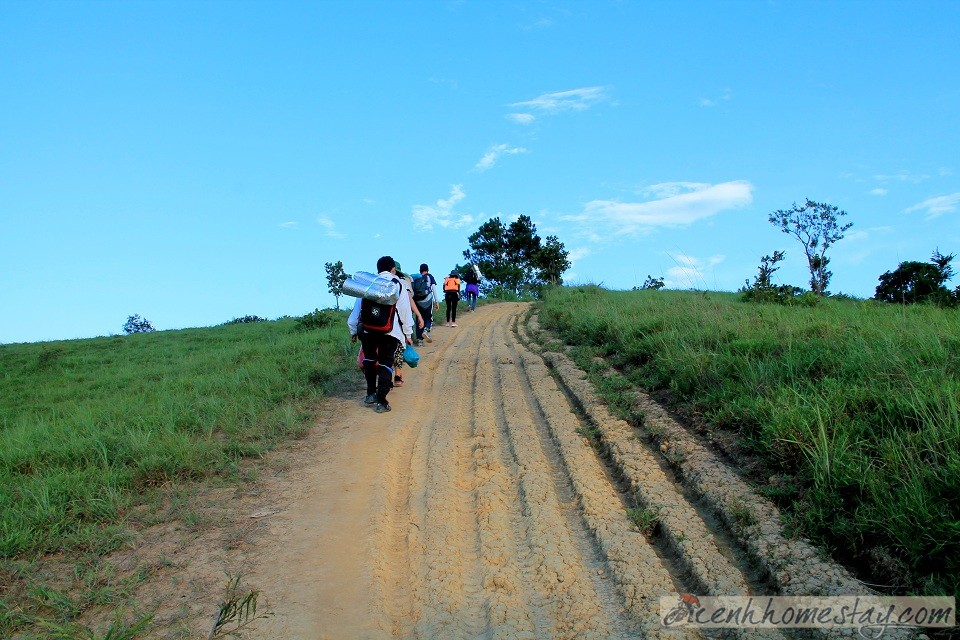 30 Trải nghiệm khó quên trên cung trekking Tà Năng Phan Dũng