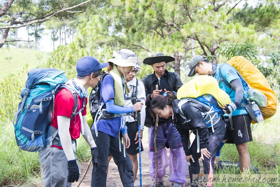 30 Trải nghiệm khó quên trên cung trekking Tà Năng Phan Dũng