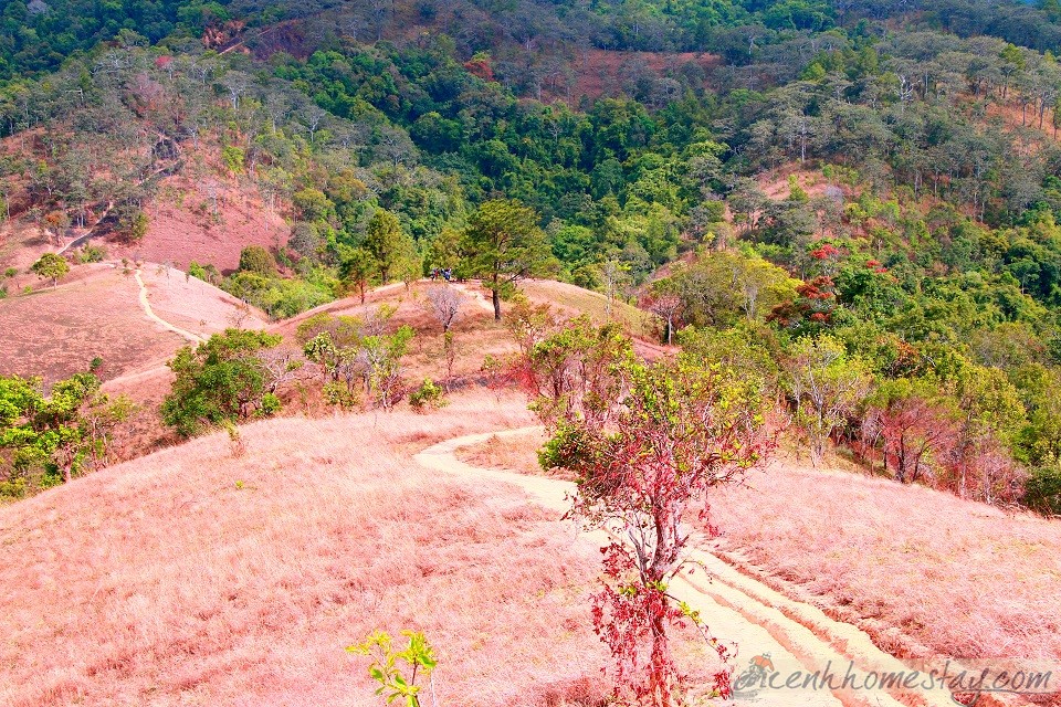 30 Trải nghiệm khó quên trên cung trekking Tà Năng Phan Dũng