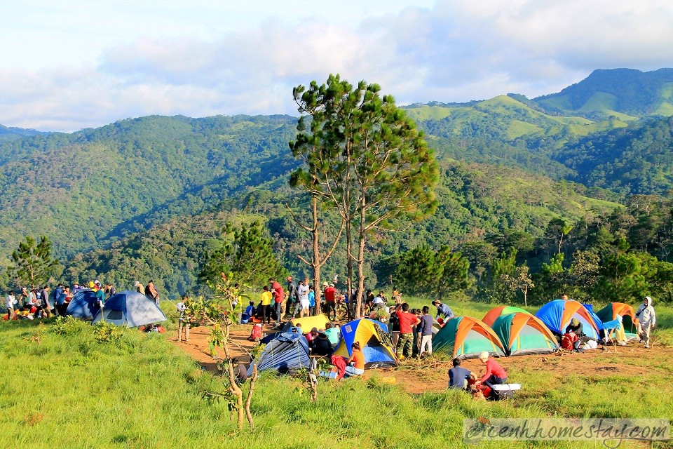 30 Trải nghiệm khó quên trên cung trekking Tà Năng Phan Dũng