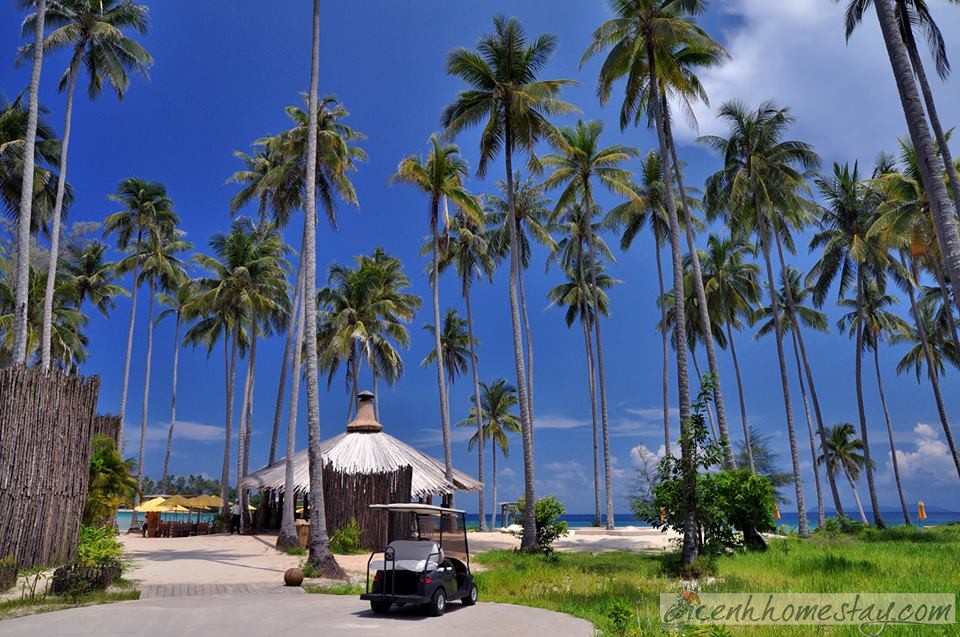 Soneva Kiri Eco Resort ở Thái Lan view lơ lửng trên cây siêu đẹp, phục vụ món cho khách bằng Zipline