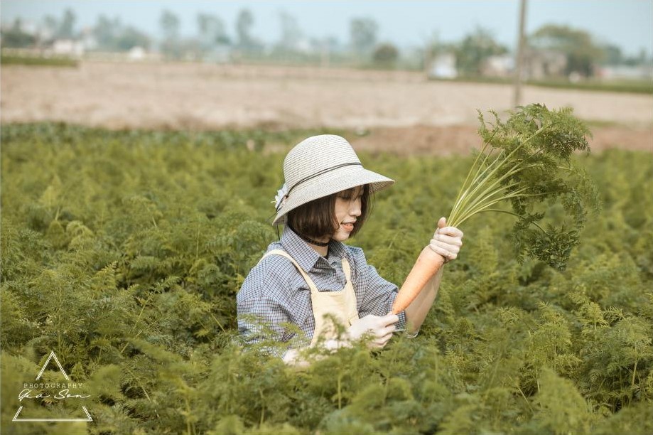 Top 20 điểm du lịch Hải Dương đẹp, nổi tiếng nhất định phải tham quan