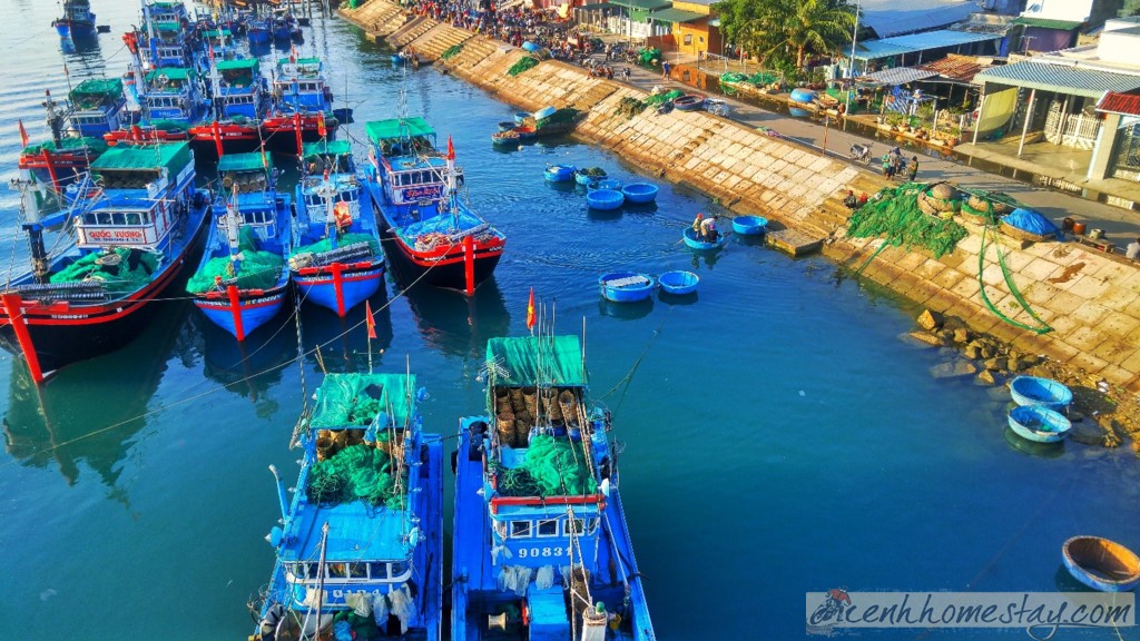 "Suýt chết" ở cung đường biển Ninh Thuận-Cam Ranh