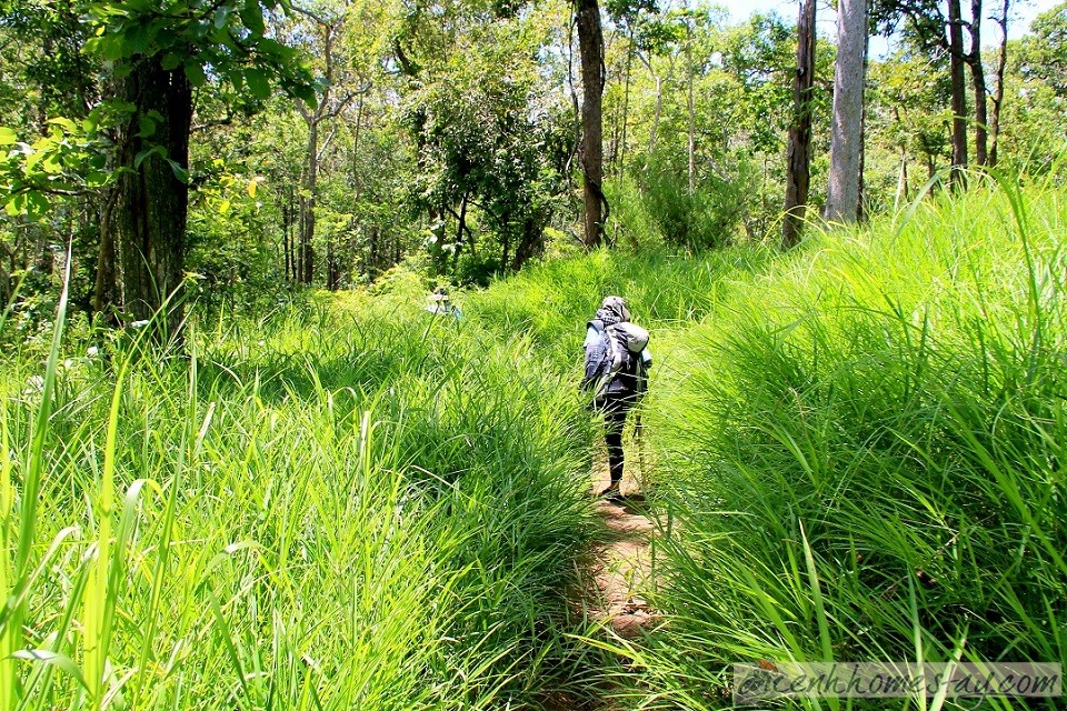 30 Trải nghiệm khó quên trên cung trekking Tà Năng Phan Dũng