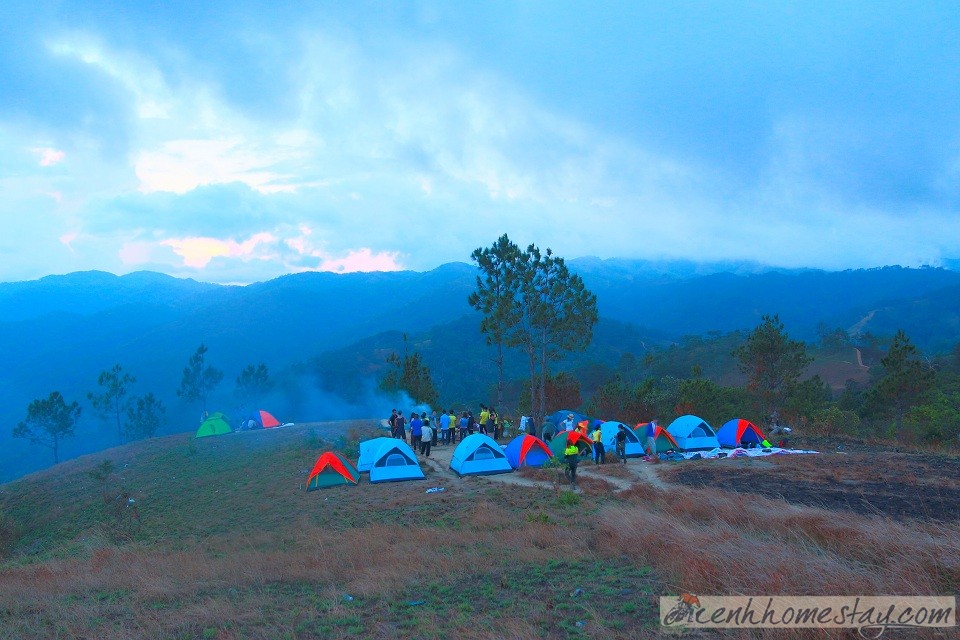 30 Trải nghiệm khó quên trên cung trekking Tà Năng Phan Dũng