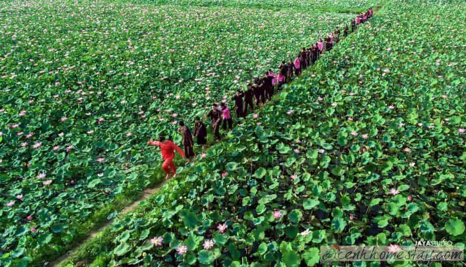 Khu Du lịch Văn hóa và Sinh thái Sen Charaih Ninh Thuận