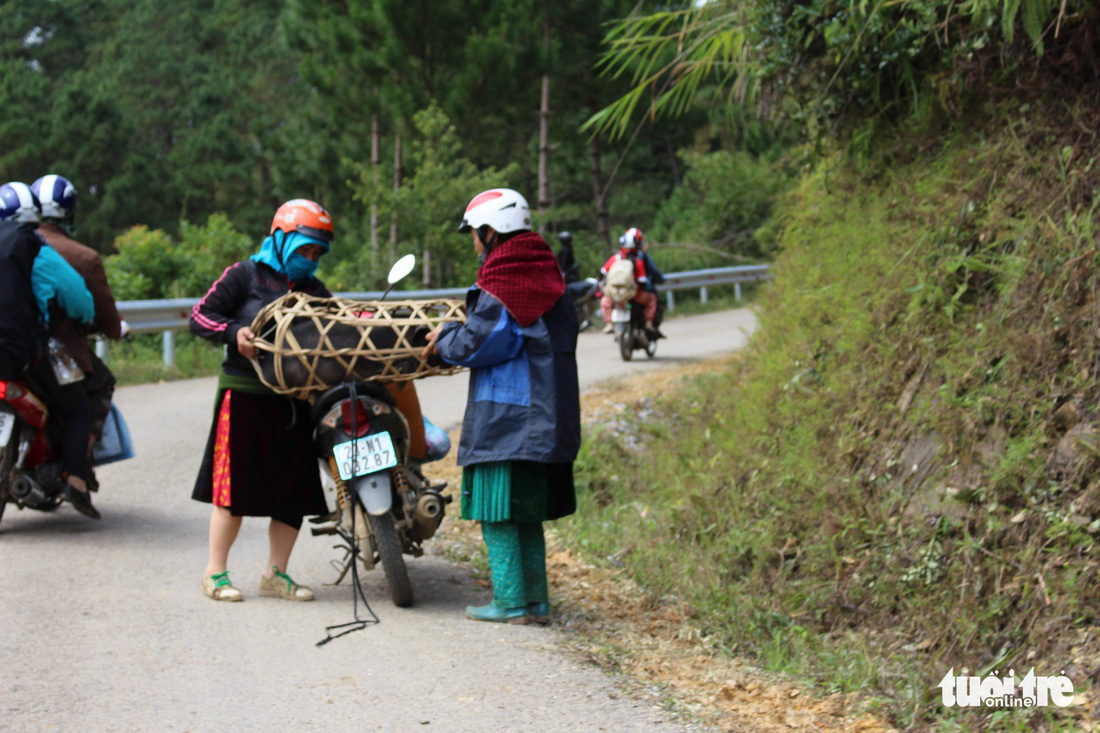 Du xuân trên miền cao phía Bắc - Ảnh 5.