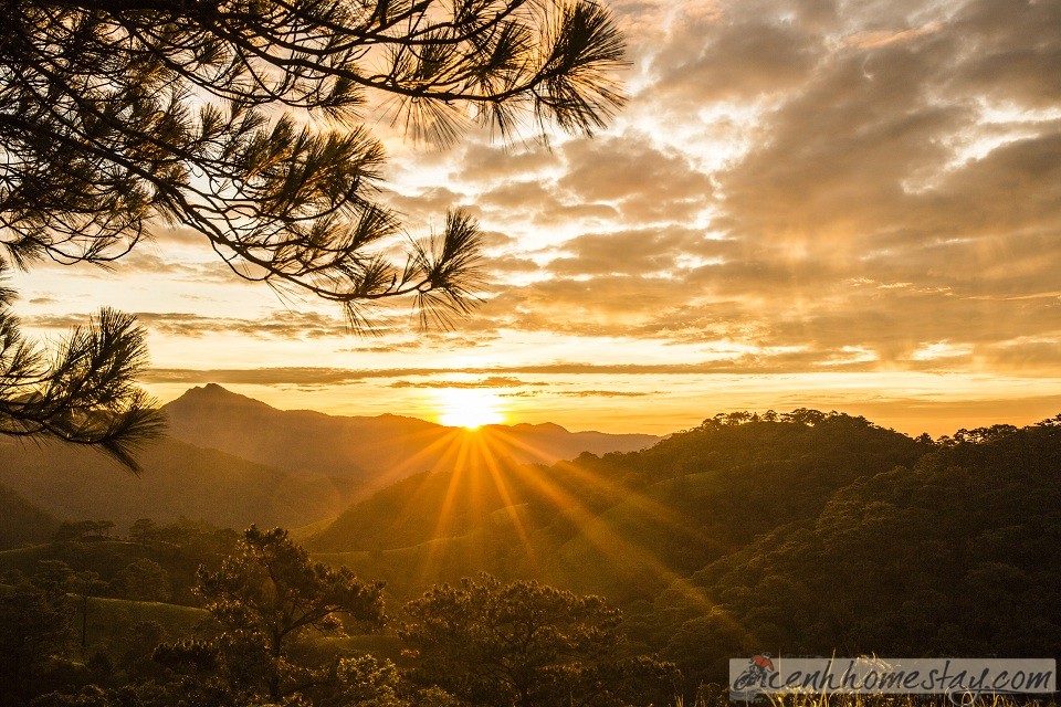 30 Trải nghiệm khó quên trên cung trekking Tà Năng Phan Dũng