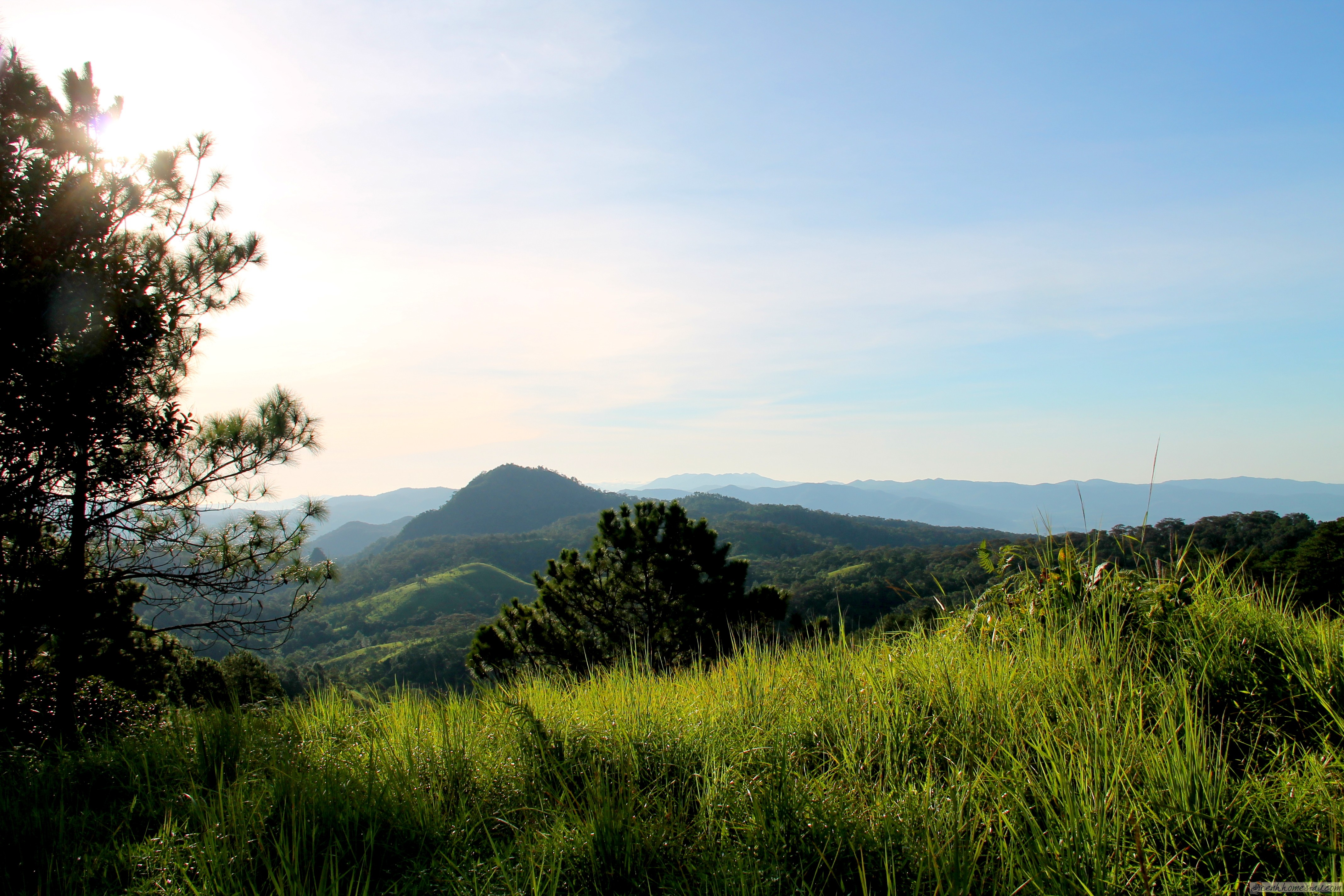 30 Trải nghiệm khó quên trên cung trekking Tà Năng Phan Dũng