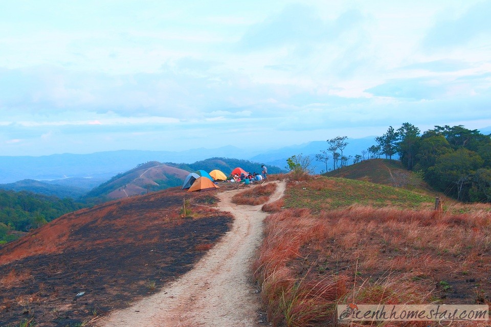 30 Trải nghiệm khó quên trên cung trekking Tà Năng Phan Dũng