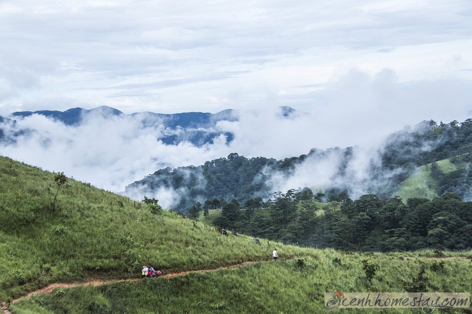 30 Trải nghiệm khó quên trên cung trekking Tà Năng Phan Dũng