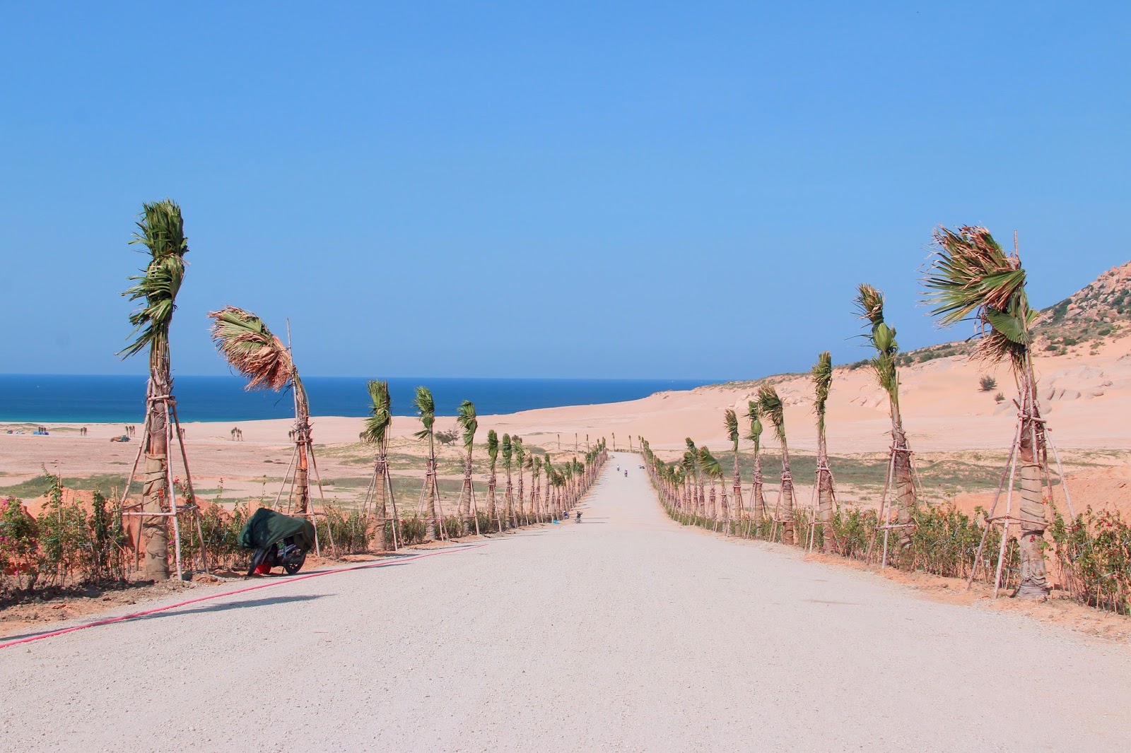 105km cung đường biển Ninh Thuận "nhìn là thích" "nhích chẳng chịu về