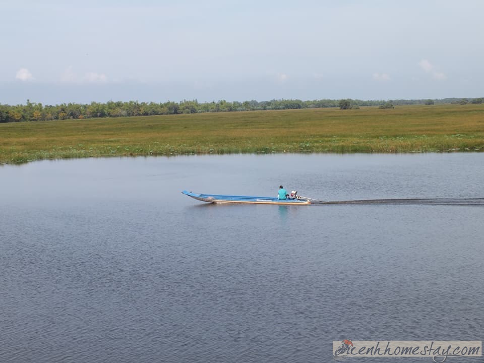 10 Thắng cảnh "chưa đi chưa biết" mùa nước nổi khắp miền Tây