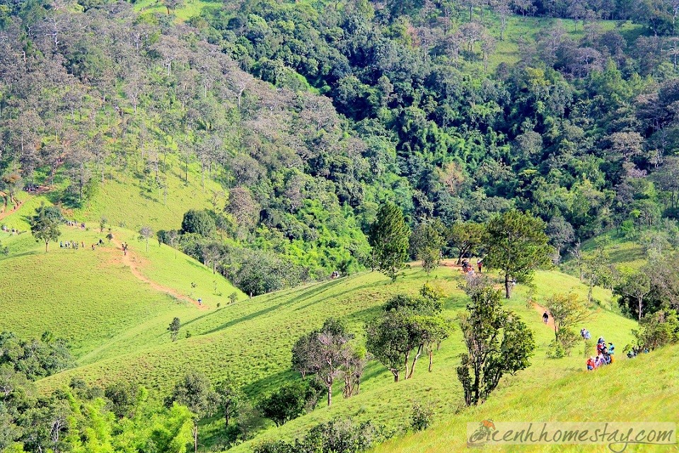 30 Trải nghiệm khó quên trên cung trekking Tà Năng Phan Dũng