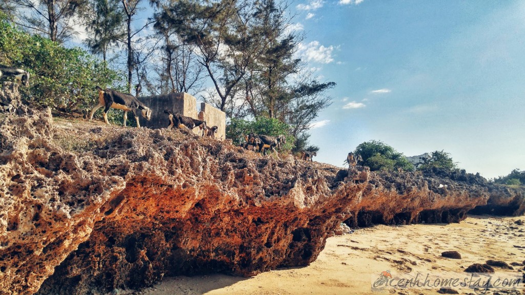 "Suýt chết" ở cung đường biển Ninh Thuận-Cam Ranh