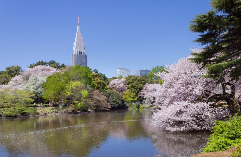 Địa điểm du lịch Tokyo