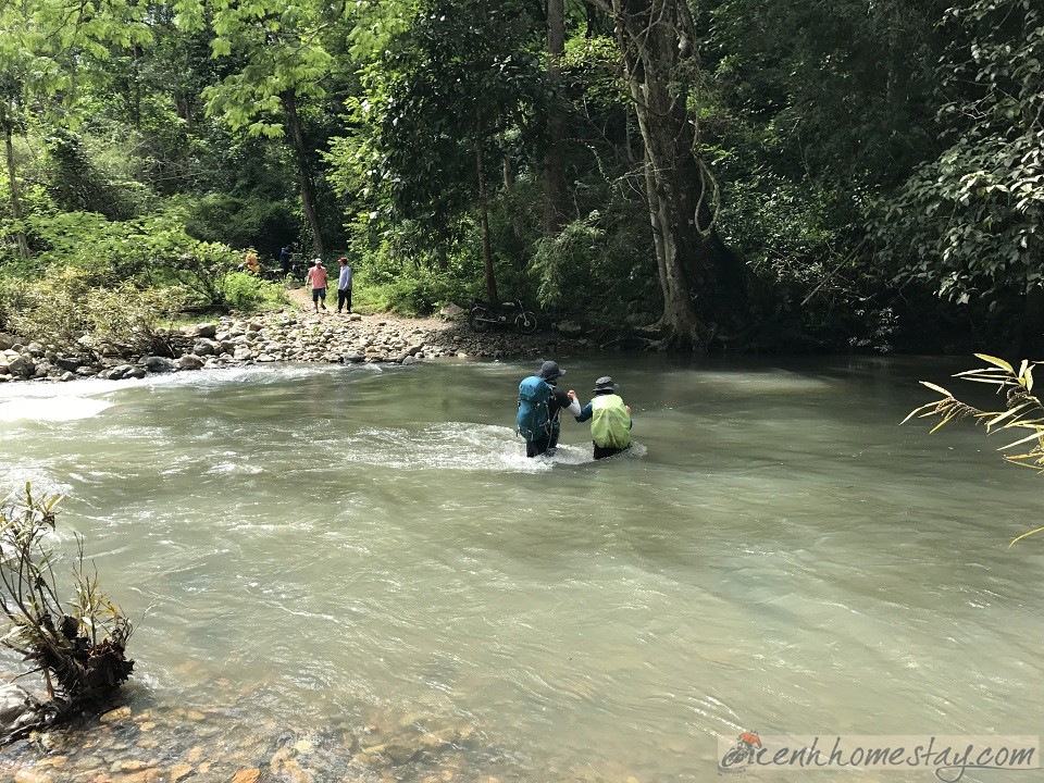 30 Trải nghiệm khó quên trên cung trekking Tà Năng Phan Dũng